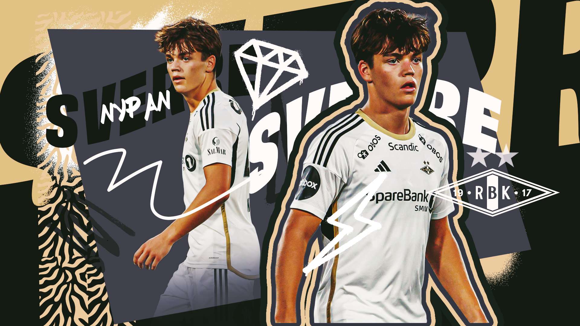 援助项目等 援助项目等